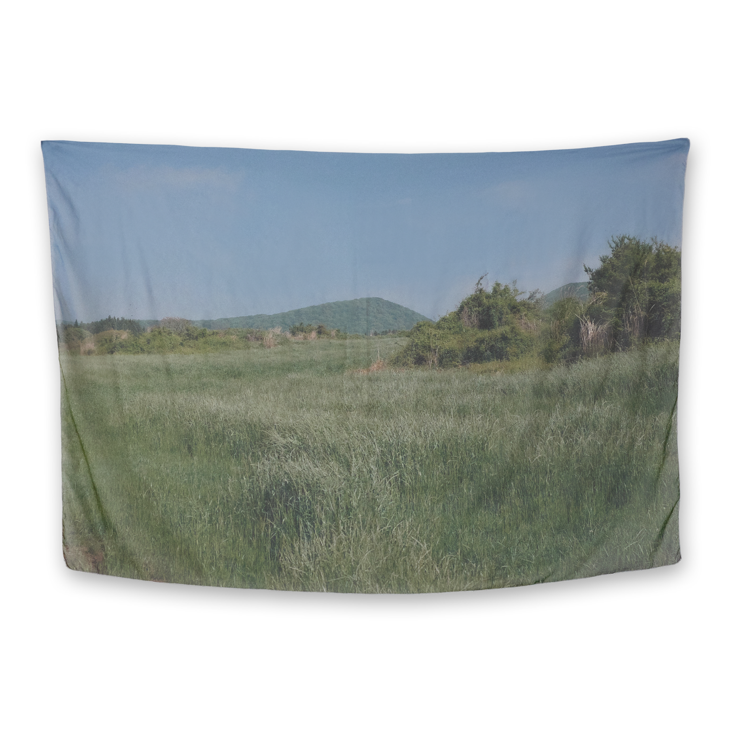 The Door of Early Summer