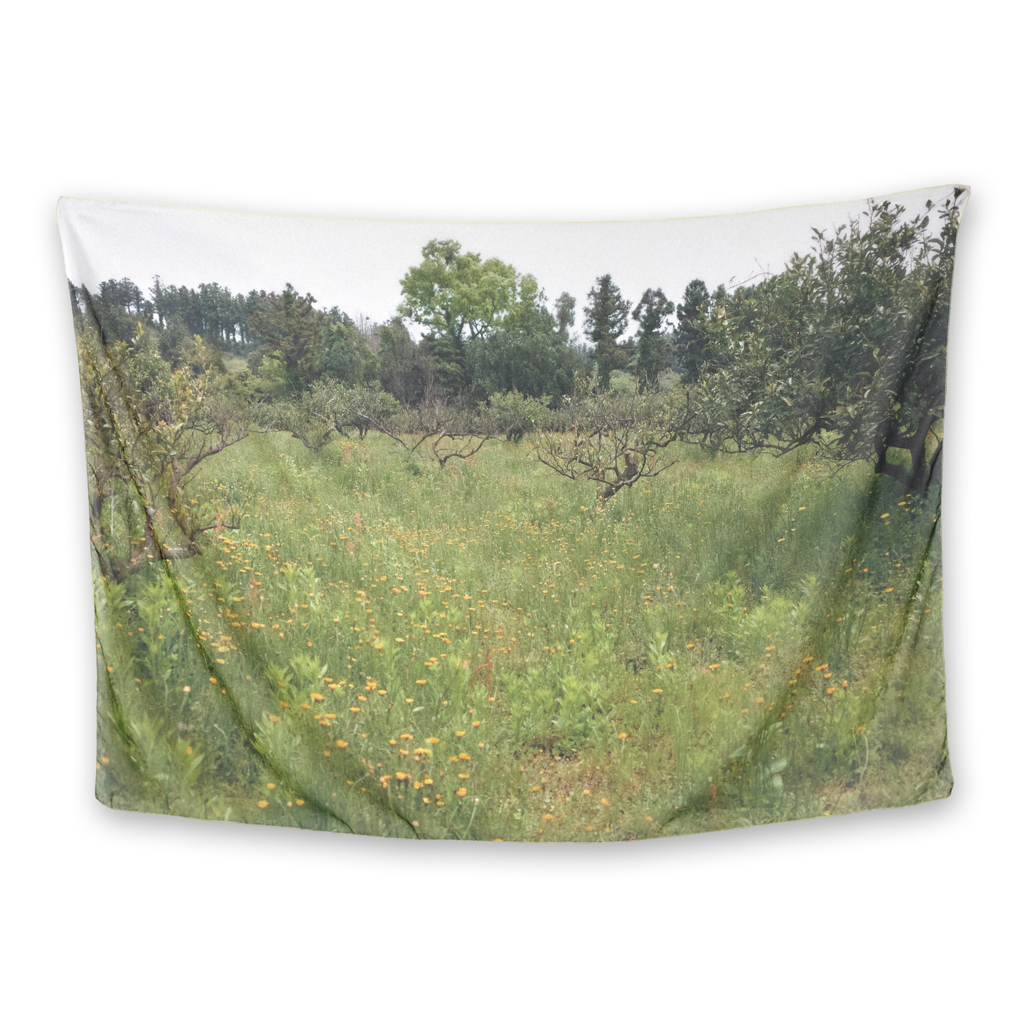 Someone's Old Garden